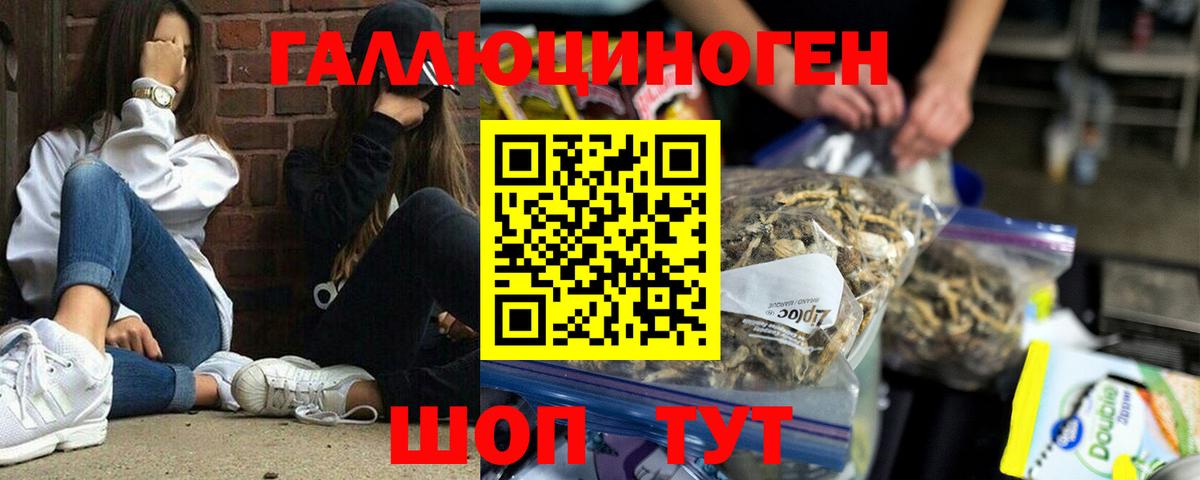 Галлюциногенные грибы Psilocybine cubensis Сызрань